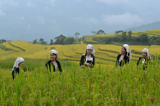 Ruộng bậc thang ở xã Hồng Thái. Ảnh: dangcongsan.vn Nhiều hoạt động đặc sắc tại Lễ hội mùa vàng Hồng Thái năm 2023 ảnh 1