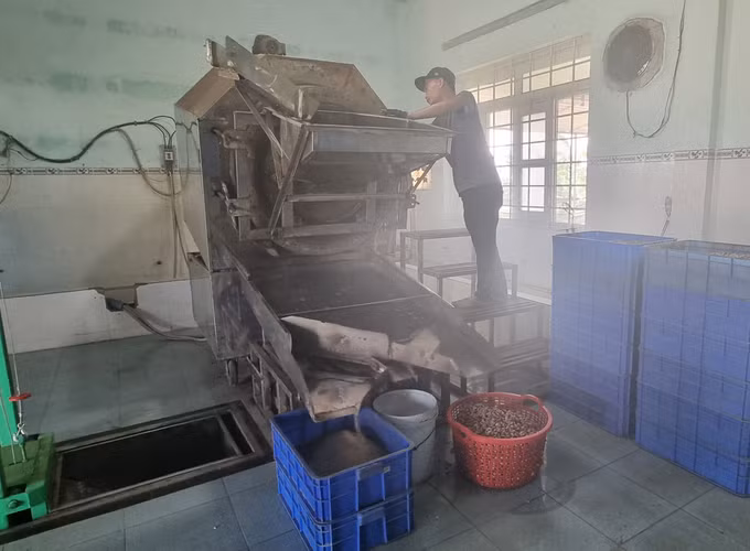 Ninh Thuận thúc đẩy phát triển công nghiệp nông thôn ảnh 1