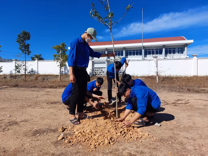 Phát huy vai trò của tuổi trẻ Kon Tum trong chuyển đổi số ảnh 4