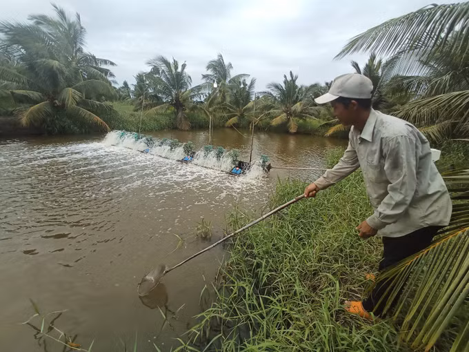 Để Đồng bằng sông Cửu Long bứt phá về khoa học công nghệ (Bài cuối) ảnh 2