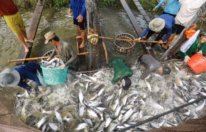 An Giang còn nhiều tiềm năng, lợi thế phát triển kinh tế ảnh 1