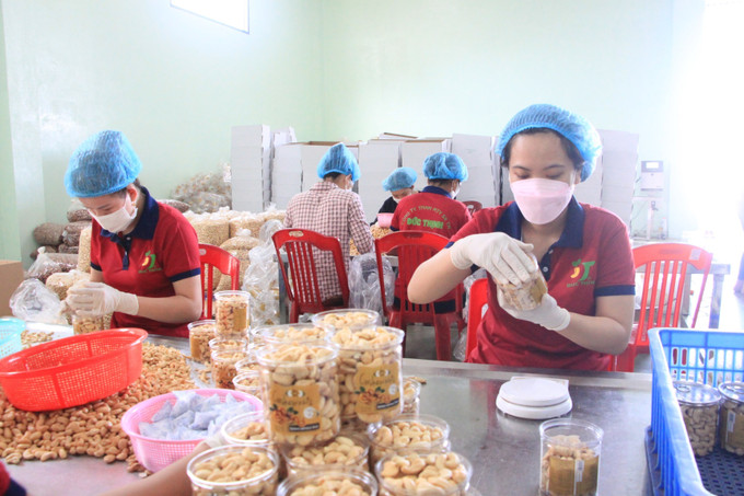 Công nhân đóng gói hạt điều tại Công ty TNHH MTV sản xuất thương mại Đức Thịnh (tại xã Thống Nhất, huyện Bù Đăng). Ảnh: K GỬIH - TTXVN Bình Phước: Thành lập câu lạc bộ “nông dân tỷ phú” ảnh 1