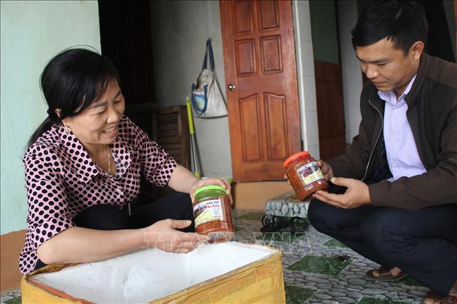 Nhờ làm mắm tép, chị Nguyễn Thị Đua ở xã Yên Dương, huyện Hà Trung (Thanh Hóa) có thu nhập bình quân đạt 90 triệu/năm. Ảnh: Nguyễn Nam - TTXVN Tạo thương hiệu cho sản phẩm mắm tép Hà Yên ảnh 1