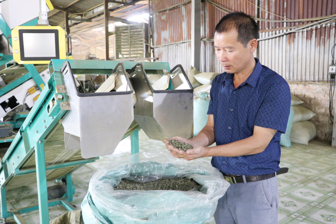 Ông Kim Văn Tân bén duyên với cây chè trên vùng đất Tân Uyên ảnh 3