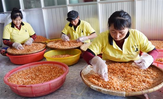Sản phẩm tôm khô của cơ sở Tôm khô Tiến Hải, xã Đông Hải, huyện Duyên Hải - sản phẩm OCOP đạt 3 sao năm 2019. Ảnh: travinh.gov.vn Trà Vinh đặt mục tiêu có ít nhất 165 sản phẩm OCOP năm 2025 ảnh 3