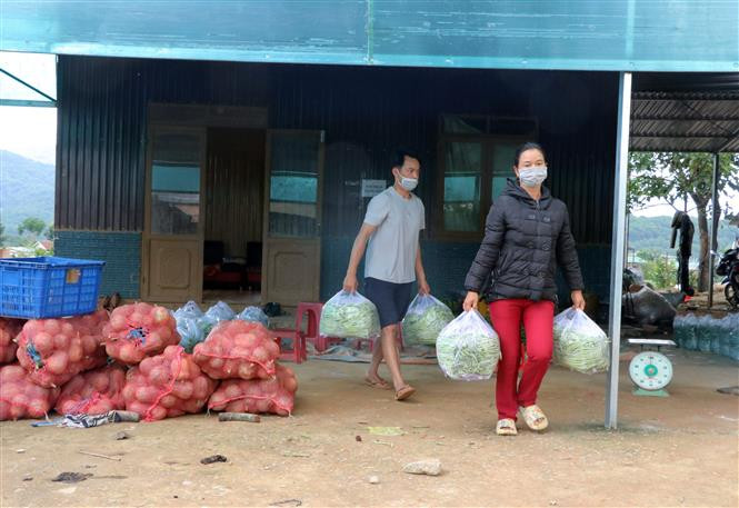 Chị Kon Sơ K’Thu chuyển nông sản ra xe cho khách hàng ở các tỉnh phía Nam. Ảnh: Chu Quốc Hùng - TTXVN Nữ Bí thư Chi bộ Kon Sơ K’Thu - chỗ dựa của đồng bào K’ho ảnh 2