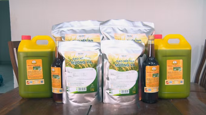 Sơn La phát huy thương hiệu đặc sản nếp tan Mường Và ảnh 6