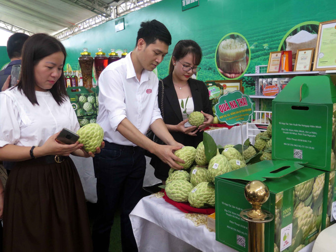 Du khách và các doanh nghiệp tham quan gian hàng trưng bày sản phẩm na Võ Nhai. Ảnh: Trần Trang - TTXVN Na rải vụ - hướng nâng cao hiệu quả kinh tế cho người dân miền núi ảnh 2