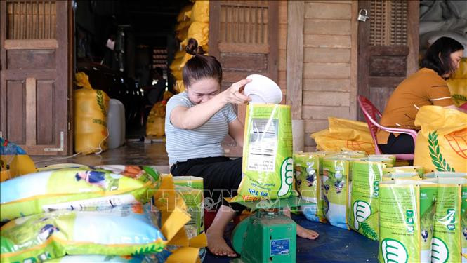 Người dân xã An Nhơn đóng gói sản phẩm gạo nếp quýt Đạ Tẻh chuẩn bị cho thị trường Tết Nguyên đán 2021. Ảnh: Nguyễn Dũng – TTXVN Nếp quýt Đạ Tẻh đắt hàng khi được gắn sao OCOP ảnh 1