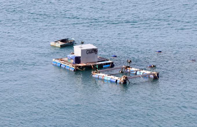 Ninh Thuận tạo động lực thúc đẩy phát triển bền vững kinh tế biển ảnh 5
