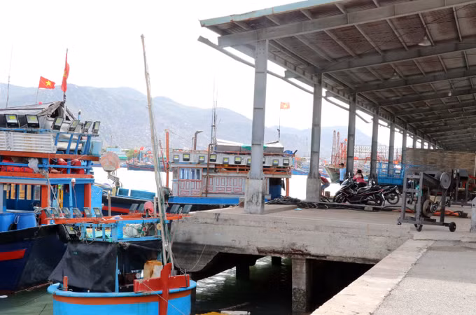 Ninh Thuận tạo động lực thúc đẩy phát triển bền vững kinh tế biển ảnh 1