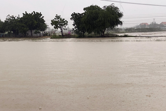 Ninh Thuận chủ động ứng phó, giảm thiểu thiệt hại do mưa lũ gây ra ảnh 1