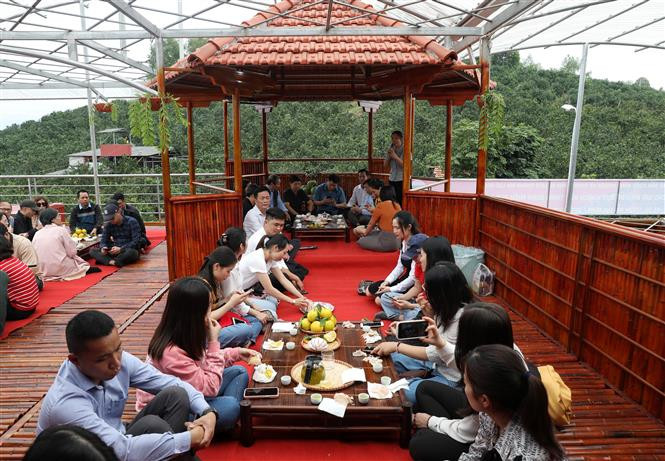 Du khách thưởng thức cam, bưởi ngay trong không gian vườn cây cam, bưởi tại Hợp tác xã Sản xuất nông nghiệp và Thương mại du lịch Thanh Hải, huyện Lục Ngạn, Bắc Giang. Ảnh: Danh Lam - TTXVN Bắc Giang phát triển du lịch cộng đồng ảnh 3