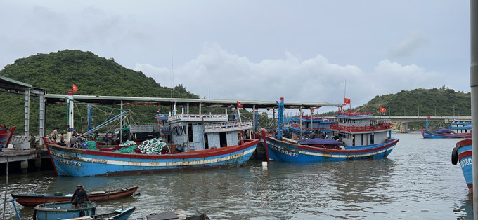 Các tàu thuyền khẩn trương được gia cố khi neo đậu tại các cảng cá. Ảnh: Sỹ Thắng-TTXVN Ứng phó với bão số 4: Bình Định ưu tiên sơ tán người dân sống ven biển, khu vực nguy cơ ảnh hưởng cao ảnh 1