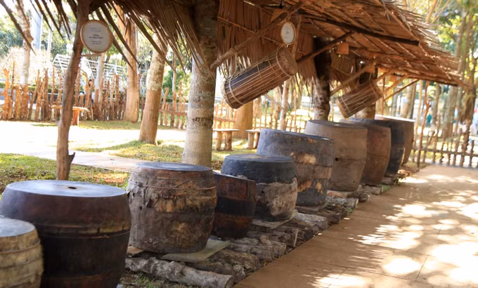 Khai mạc Không gian trưng bày, triển lãm ngoài trời “Thiên đường Tây Nguyên - Gia Lai” ảnh 3
