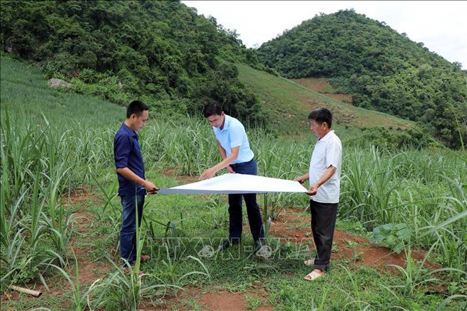 Cán bộ huyện Yên Châu và người dân khảo sát vị trí được chọn để xây dựng điểm bố trí lại dân cư bản Na Pản, xã Chiềng Đông. Ảnh: Hữu Quyết – TTXVN Sơn La sớm di chuyển các hộ dân khỏi vùng nguy cơ sạt lở ảnh 4