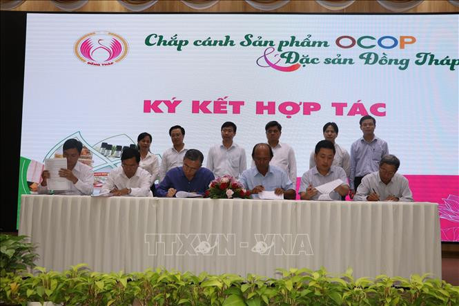 Ký kết hợp tác, cung ứng tiêu thụ sản phẩm, OCOP và đặc sản Đồng Tháp. Ảnh: Nguyễn Văn Trí - TTXVN Đồng Tháp tạo giá trị gia tăng từ sản phẩm OCOP ảnh 1