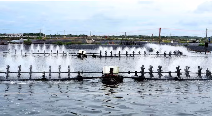 Sóc Trăng hướng tới nuôi trồng thủy sản theo công nghệ cao ảnh 2