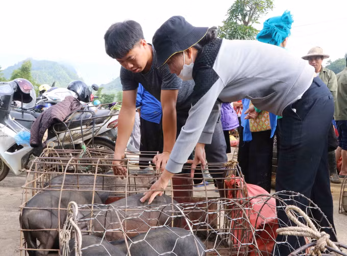  Du lịch Việt Nam: Độc đáo chợ phiên San Thàng, Lai Châu ảnh 5