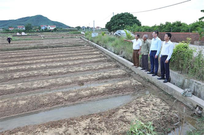 Tổ dân vận, cán bộ xã thôn Thanh Sơn, xã Đông Phú, huyện Lục Nam đã thực hiện tốt quy chế dân chủ trong chính sách dồn điền đổi thửa. Ảnh: Danh Lam-TTXVN Bắc Giang xây dựng thành công nông thôn mới nhờ thực hiện tốt quy chế dân chủ ở cơ sở ảnh 3