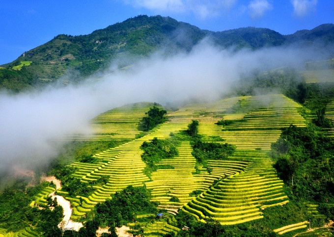 Những thửa ruộng bậc thang hùng vỹ đẹp mê hồn len lỏi trong những đám mây của mùa Thu Sa Pa. Ảnh: Quốc Khánh - TTXVN Chào mừng 120 năm du lịch Sa Pa: Nhiều trải nghiệm hấp dẫn chờ đón du khách ảnh 1