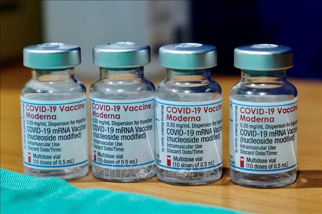 Vaccine ngừa COVID-19 của Hãng Moderna tại Ginowan, Nhật Bản ngày 28/4/2021. Ảnh: Getty Images/TTXVN Tìm ra cách bảo quản vaccine mà không cần để lạnh ảnh 1