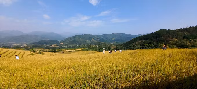 Bình Liêu, điểm đến hấp dẫn mùa du lịch thấp điểm ảnh 6