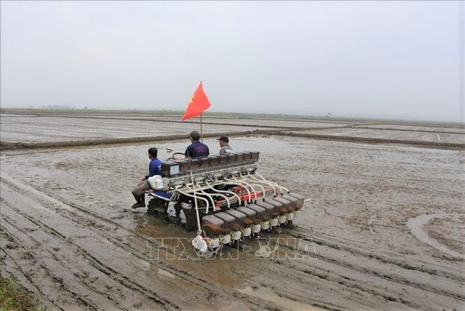 Máy sạ hàng, vùi phân trên cánh đồng lớn. Ảnh: Hoàng Nhị-TTXVN Dồn điền đổi thửa, liên kết sản xuất, góp phần xây dựng thành công nông thôn mới ở huyện Duy Xuyên ảnh 1