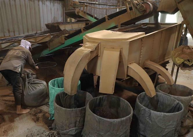 Giai đoạn 2021-2025, tỉnh Yên Bái cơ cấu lại các vùng sản xuất gắn với công nghiệp chế biến và lợi thế địa phương, giữ ổn định diện tích cây chè khoảng 7.000 ha, định hướng chuyển đổi cơ cấu sản phẩm theo hướng giảm tỷ trọng chè đen (giảm từ 85% xuống còn 65%), tăng tỷ trọng sản phẩm chè xanh (tăng từ 15% lên 35%); phấn đấu sản lượng chè khô xuất khẩu đạt hơn 10.000 tấn (trong đó chè hữu cơ đạt hơn 500 tấn/năm). Ảnh: Vũ Sinh – TTXVN Yên Bái cơ cấu lại ngành nông nghiệp, gắn với xây dựng nông thôn mới ảnh 6