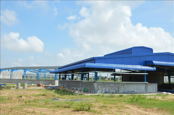 Đất bãi bồi ở huyện Hồng Ngự được cho doanh nghiệp thuê để đầu tư dự án sản xuất cá tra giống. Ảnh: Nhựt An - TTXVN Đơn giản hóa thủ tục đăng ký, cấp Giấy chứng nhận quyền sử dụng đất ảnh 1