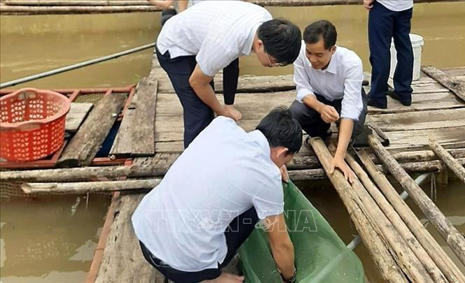 Cán bộ kỹ thuật kiểm tra và hướng dẫn bà con ở xã Nậm Hàng, huyện Nậm Nhùn (Lai Châu) nuôi cá lồng trên lòng hồ thủy điện sông Đà. Ảnh: Việt Hoàng - TTXVN Nỗ lực giảm nghèo ở huyện vùng cao biên giới Nậm Nhùn ảnh 2