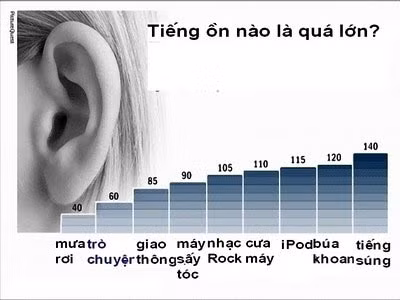 Ô nhiễm tiếng ồn có thể gây tác động lâu dài đến sự đa dạng sinh học ảnh 1