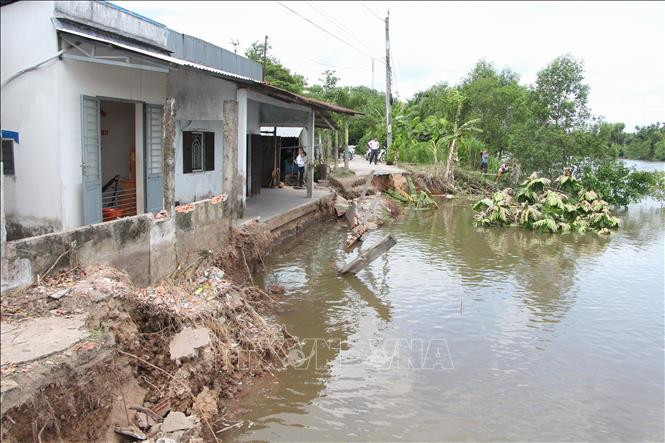 Điểm sạt lở tại sông Mái Dầm, xã Phú Hữu, huyện Châu Thành. Ảnh: Hồng Thái - TTXVN Hậu Giang khẩn trương khắc phục vụ sạt lở bờ sông Ba Láng ảnh 1
