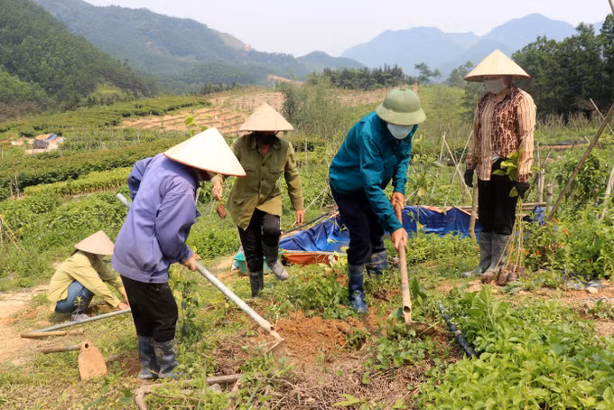 Quảng Ninh không sử dụng đất rừng và lấn biển để phát triển công nghiệp ảnh 1