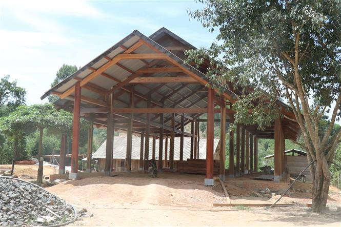 Lâm sản được khai thác trái phép ở rừng giáp ranh để dựng nhà gỗ tại thôn Ea Rớt, xã Cư Pui, huyện Krông Bông. Ảnh: TTXVN Điều tra điểm "nóng" phá rừng Ea Rớt ảnh 6