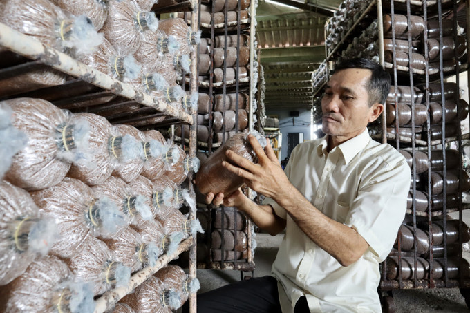 Ông Bùi Văn Mười, chủ cơ sở “Nấm 10 Sài Gòn”đã được UBND Thành phố Hồ Chí Minh tặng Bằng khen vì "Đã có thành tích xuất sắc trong phong trào nông dân thi đua sản xuất kinh doanh giỏi đoàn kết giúp nhau làm giàu và giảm nghèo bền vững giai đoạn 2017 - 2021; được UBND Thành phố Hồ Chí Minh tặng Bằng khen vì "Đã có thành tích xuất sắc đạt danh hiệu “Nông dân tiêu biểu Thành phố Hồ Chí Minh” năm 2017, 2022. Ảnh: Xuân Anh - TTXVN Đại hội XIII Hội Nông dân Việt Nam: Ưu tiên nguồn lực xứng tầm cho nông nghiệp, nông dân, nông thôn ảnh 2