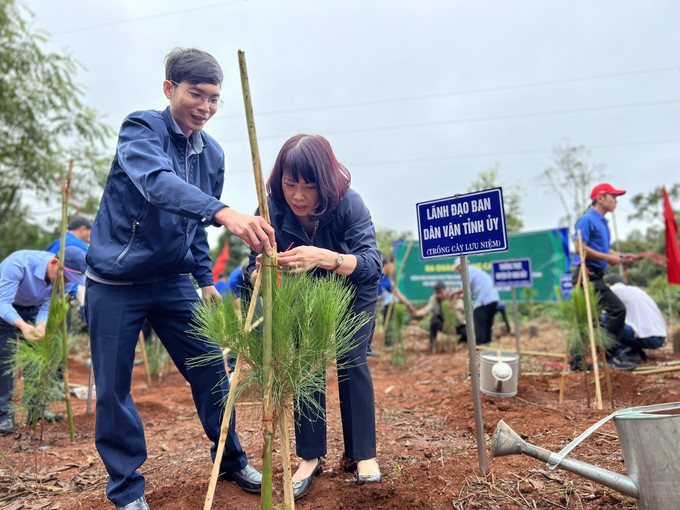 Các đại biểu tham gia trồng cây thông ba lá dọc tuyến đường tránh Đèo Măng Đen (thị trấn Măng Đen, huyện Kon Plông, tỉnh Kon Tum). Ảnh: Khoa Chương - TTXVN Tuổi trẻ Kon Tum ra quân trồng cây xanh tạo cảnh quan, bảo vệ môi trường sinh thái ảnh 4