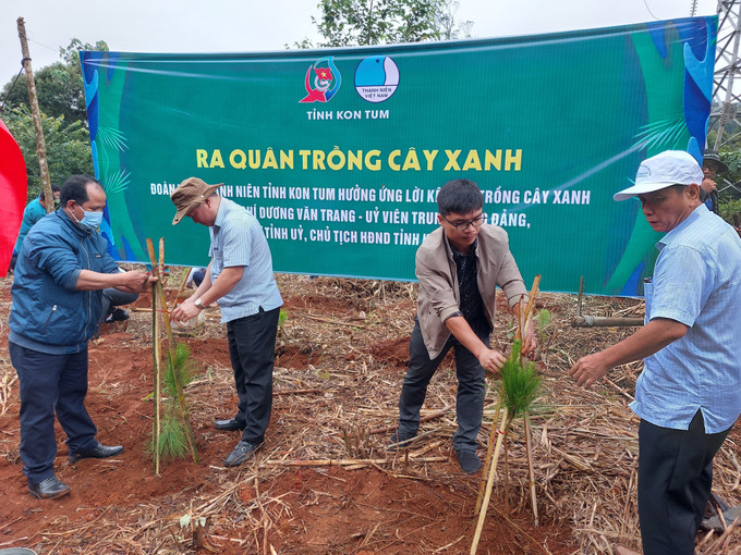 Các đại biểu ra quân trồng cây thông ba lá dọc tuyến đường tránh Đèo Măng Đen (thị trấn Măng Đen, huyện Kon Plông, tỉnh Kon Tum). Ảnh: Khoa Chương - TTXVN Tuổi trẻ Kon Tum ra quân trồng cây xanh tạo cảnh quan, bảo vệ môi trường sinh thái ảnh 1