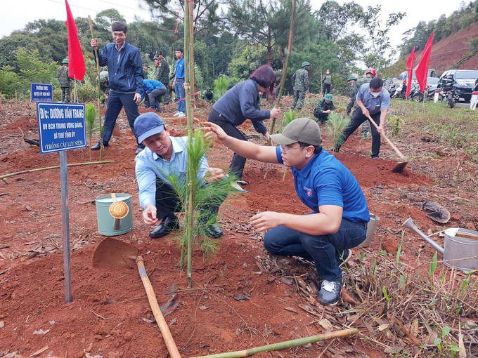 Bí thư Tỉnh ủy Kon Tum Dương Văn Trang (trái, ngồi) tham gia trồng cây thông ba lá dọc tuyến đường tránh Đèo Măng Đen (thị trấn Măng Đen, huyện Kon Plông, tỉnh Kon Tum). Ảnh: Khoa Chương - TTXVN Tuổi trẻ Kon Tum ra quân trồng cây xanh tạo cảnh quan, bảo vệ môi trường sinh thái ảnh 2