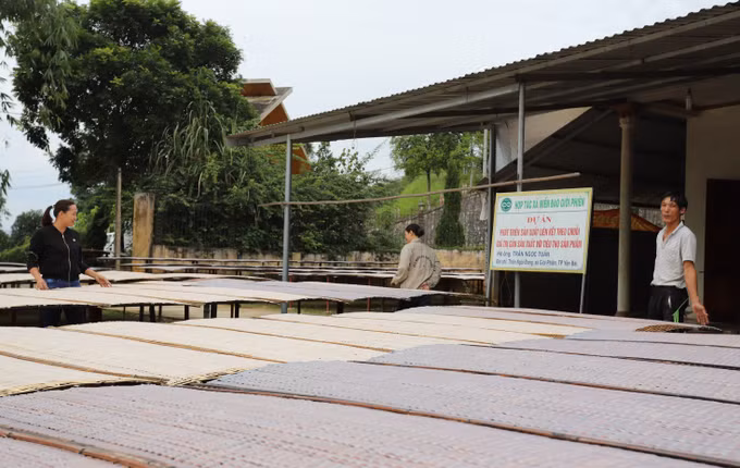Giảm nghèo bền vững ở vùng đặc biệt khó khăn ở Yên Bái ảnh 2