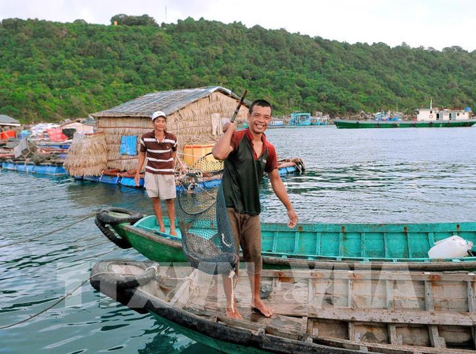 Nuôi cá bè ở huyện đảo Phú Quốc. Ảnh: Lê Huy Hải Kiên Giang phát triển nghề nuôi biển theo hướng an toàn ảnh 1