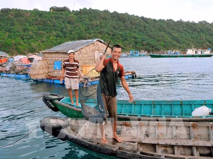 Kiên Giang phát triển nghề nuôi biển theo hướng an toàn ảnh 1