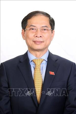 Ông Bùi Thanh Sơn, Bộ trưởng Bộ Ngoại giao. Ảnh: TTXVN Kỳ họp thứ 11, Quốc hội khóa XIV: 12 bộ trưởng, trưởng ngành được Quốc hội phê chuẩn bổ nhiệm ảnh 3