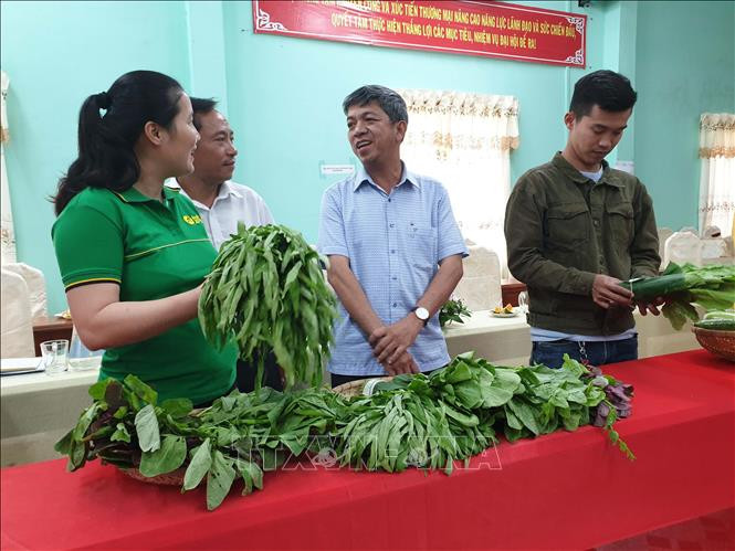 Trà Vinh hỗ trợ hợp tác xã tìm thị trường ổn định cho nông sản. Ảnh Thanh Hòa - TTXVN Trà Vinh dành hơn 40 tỷ đồng cho khuyến công ảnh 1