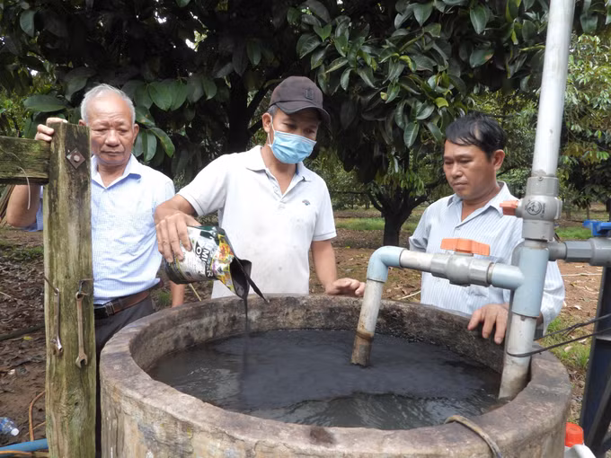 "Ông Năm sầu riêng” với sáng tạo khoa học kỹ thuật, sản xuất nông nghiệp hữu cơ ảnh 3