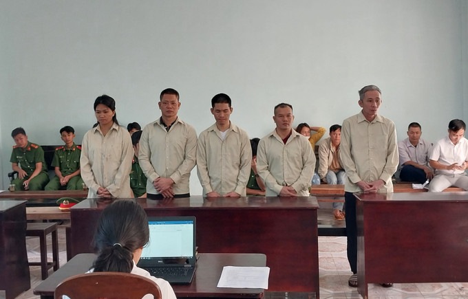5 bị cáo tại phiên xét xử sơ thẩm. Ảnh: TTXVN phát Gia Lai: Xét xử 5 đối tượng tổ chức cho người khác trốn đi nước ngoài trái phép ảnh 1