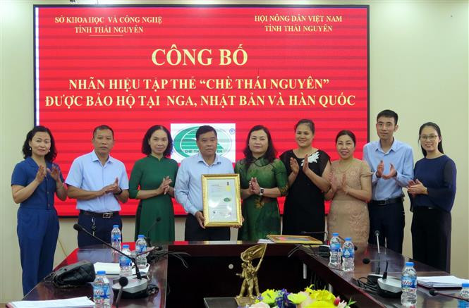 Đại diện lãnh đạo Sở Khoa học và Công nghệ tỉnh Thái Nguyên trao Giấy chứng nhận đăng ký nhãn hiệu tập thể “Chè Thái Nguyên” tại Nga, Nhật Bản và Hàn Quốc cho Hội Nông dân tỉnh làm chủ sở hữu. Ảnh: Thu Hằng-TTXVN Thương hiệu chè Thái Nguyên vươn ra thế giới ảnh 1