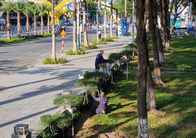 Công nhân chăm sóc, cắt tỉa cây xanh tạo cảnh quan sạch đẹp trên đường phố 16/4, thành phố Phan Rang – Tháp Chàm (Ninh Thuận). Ảnh: Nguyễn Thành – TTXVN Ninh Thuận hướng đến mục tiêu phát triển du lịch xanh, bền vững ảnh 3