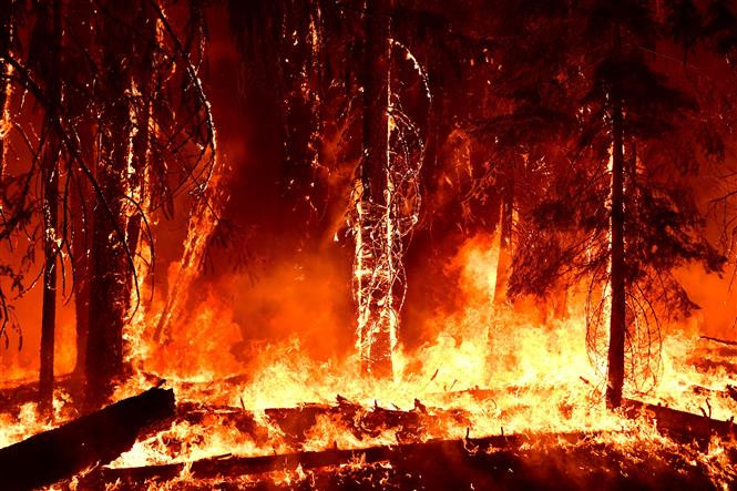 Carbon nâu thải ra từ các vụ cháy rừng trên thực tế góp phần nhiều hơn vào gây ra hiện tượng Trái Đất nóng lên. Ảnh: AFP/TTXVN Phát hiện mới về carbon nâu làm gia tăng nhiệt độ của Trái Đất ảnh 1