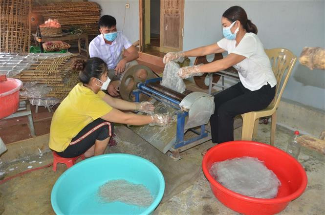 Công đoạn thái miến thành sợi. Ảnh: Nguyễn Nam-TTXVN Sắc thái riêng miến dong Hương Ngọc ảnh 3
